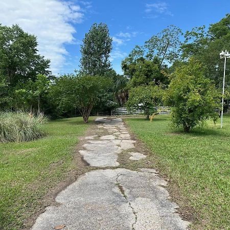 Bare Feet Bungalow -Close To Beach & Dog Friendly Gulfport Exterior photo