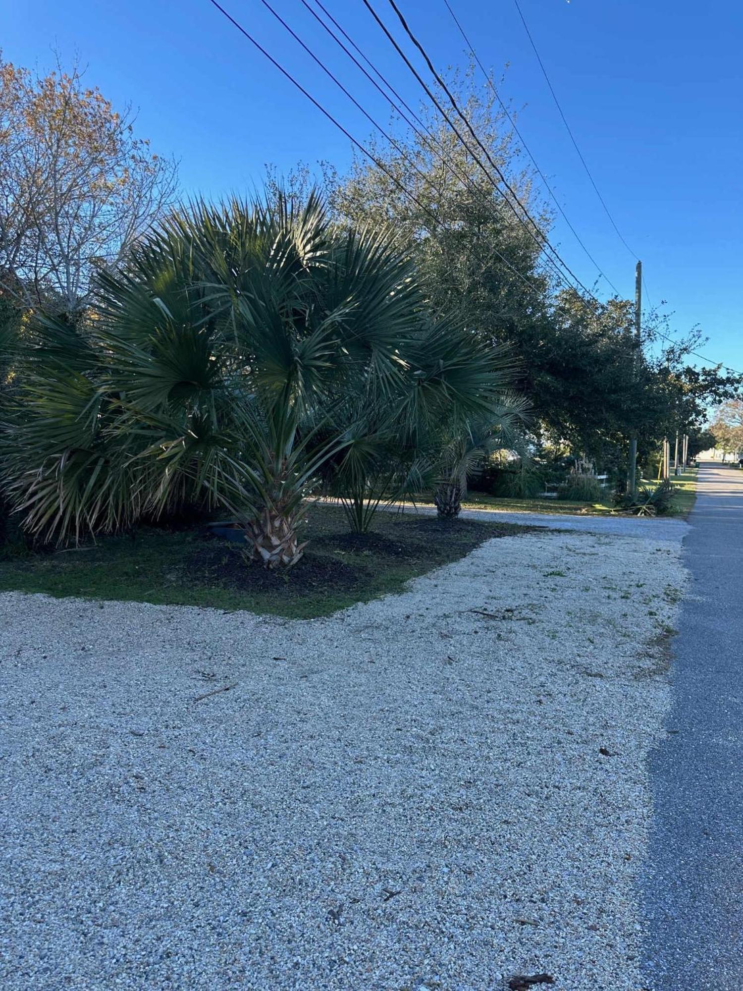 Bare Feet Bungalow -Close To Beach & Dog Friendly Gulfport Exterior photo